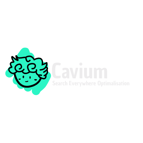 Cavium-Marketingbureau_websites_SEO-en-meer